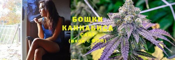 PSILOCYBIN Гусев