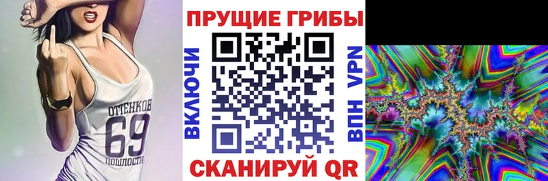 купить наркотик  гидра зеркало  Галлюциногенные грибы ЛСД  Дорогобуж 